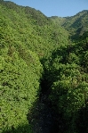 䓻t