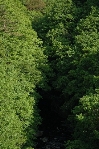 䓻t