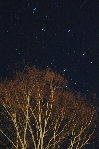 50mmF1.4@4 Bulb