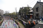 横山郷土館 巴波(うずま)川のこいのぼり